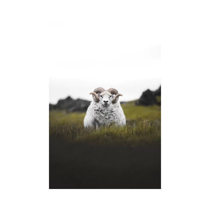 Staredown by Joe Shutter - Print on Canvas, 20.32 cm H x 30.48 cm W, Wrapped Canvas