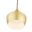 Schultz 1 - Light Single Teardrop Pendant-1165726498