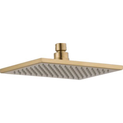 Rain Fixed Shower Head with Touch Clean