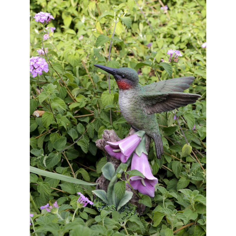 «HUMMINGBIRD» MOULÉ PAR MOTION SUR FOXGLOVE