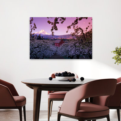 Flowering Apple Trees Distant Barn And Mount Hood Sunrise Oregon Usa. Abstract Contemporary Apple Tree Landscape Mountain Art