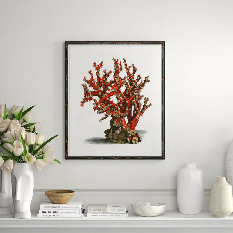 Red Coral II Giclee Print