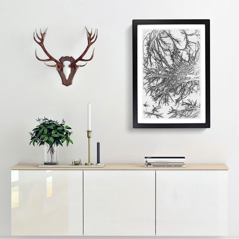 Tree Branches in Central Park New York in Abstract - Picture Frame Graphic Art Print, Black, 50cm H x 35cm W x 2cm D