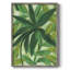 «Tropical Island Leaves II», reproduction encadrée - bois massif-2145975824