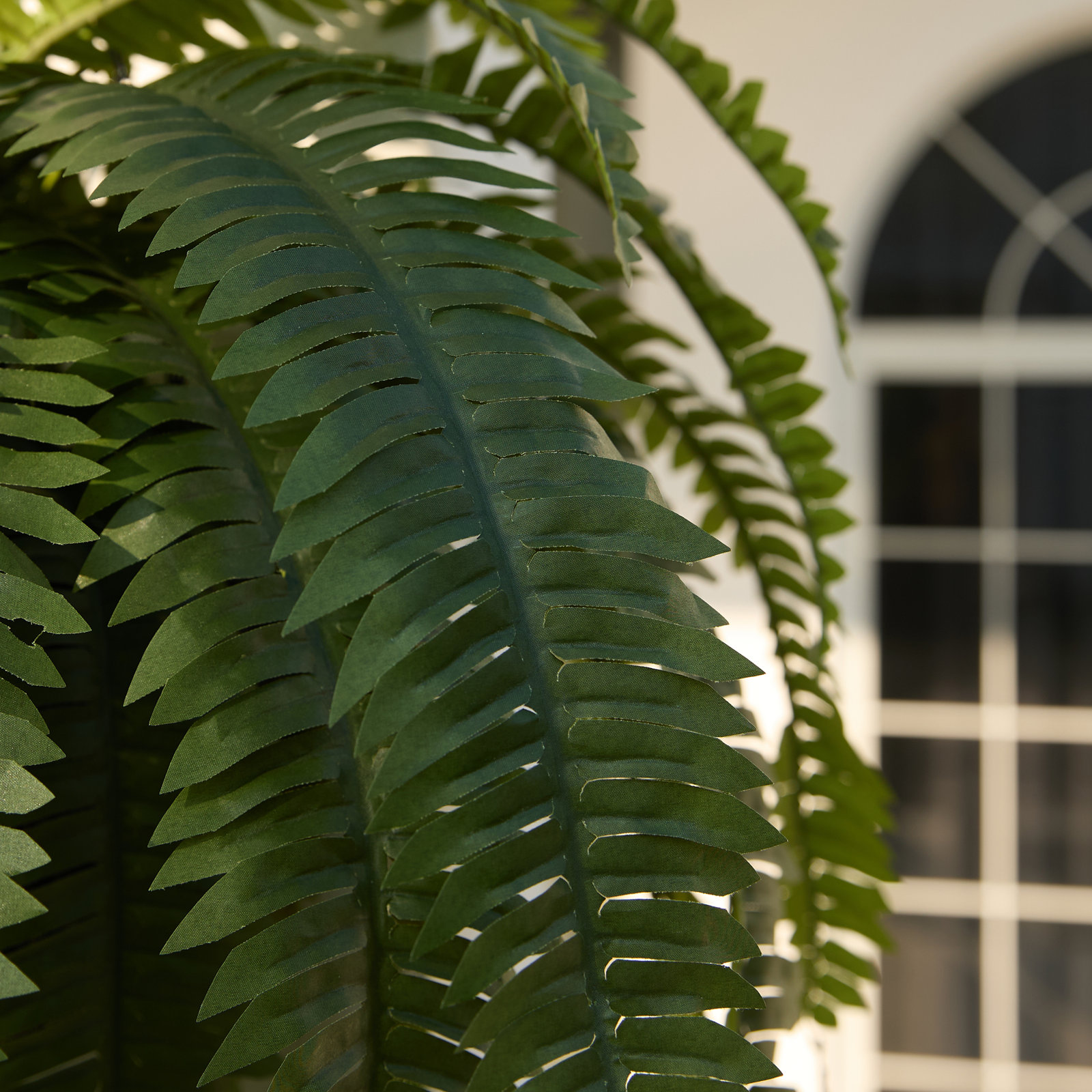 Adcock 39" Fern Plant, 2