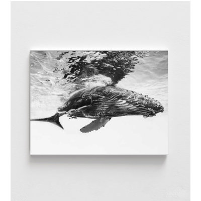 Reproduction d'art baleine - Photographie de l'océan en noir et blanc