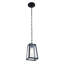 Luminaire suspendu rectangulaire à 1 lumière Souza