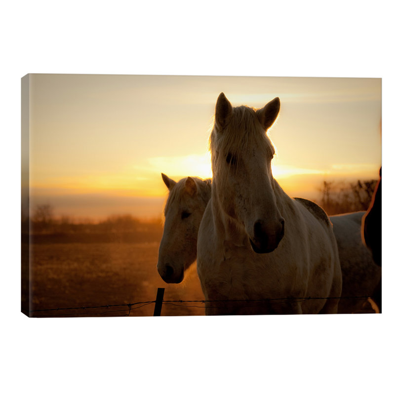 Brisk Morning by Dan Ballard - Print on Canvas, Wrapped Canvas, 152.5 cm H x 101.5 cm W x 3.175 cm D