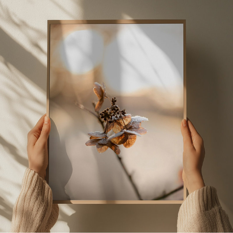 Wrapped Canvas Print, 50.8 cm H x 76.2 cm W