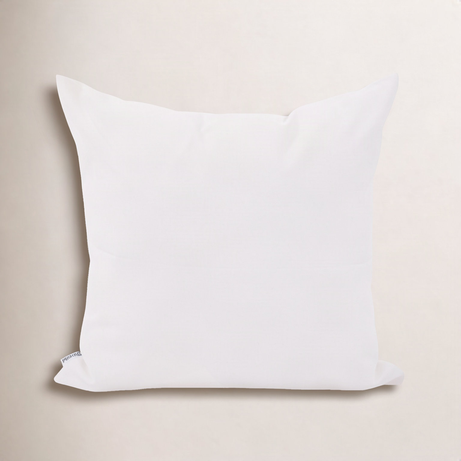 Jessica 20" x 20" Sunbrella® Throw Pillow, Seascape Natural