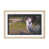 Longhorn 7 n'est pas disponible