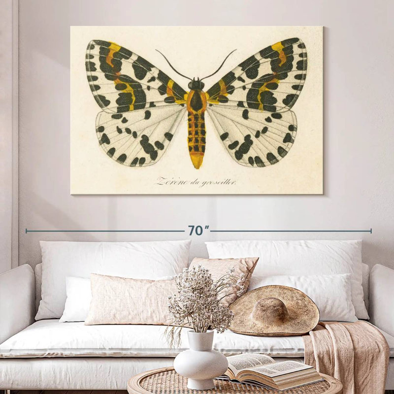 Brampt Natures Butterfly IV, 34" H x 51" W