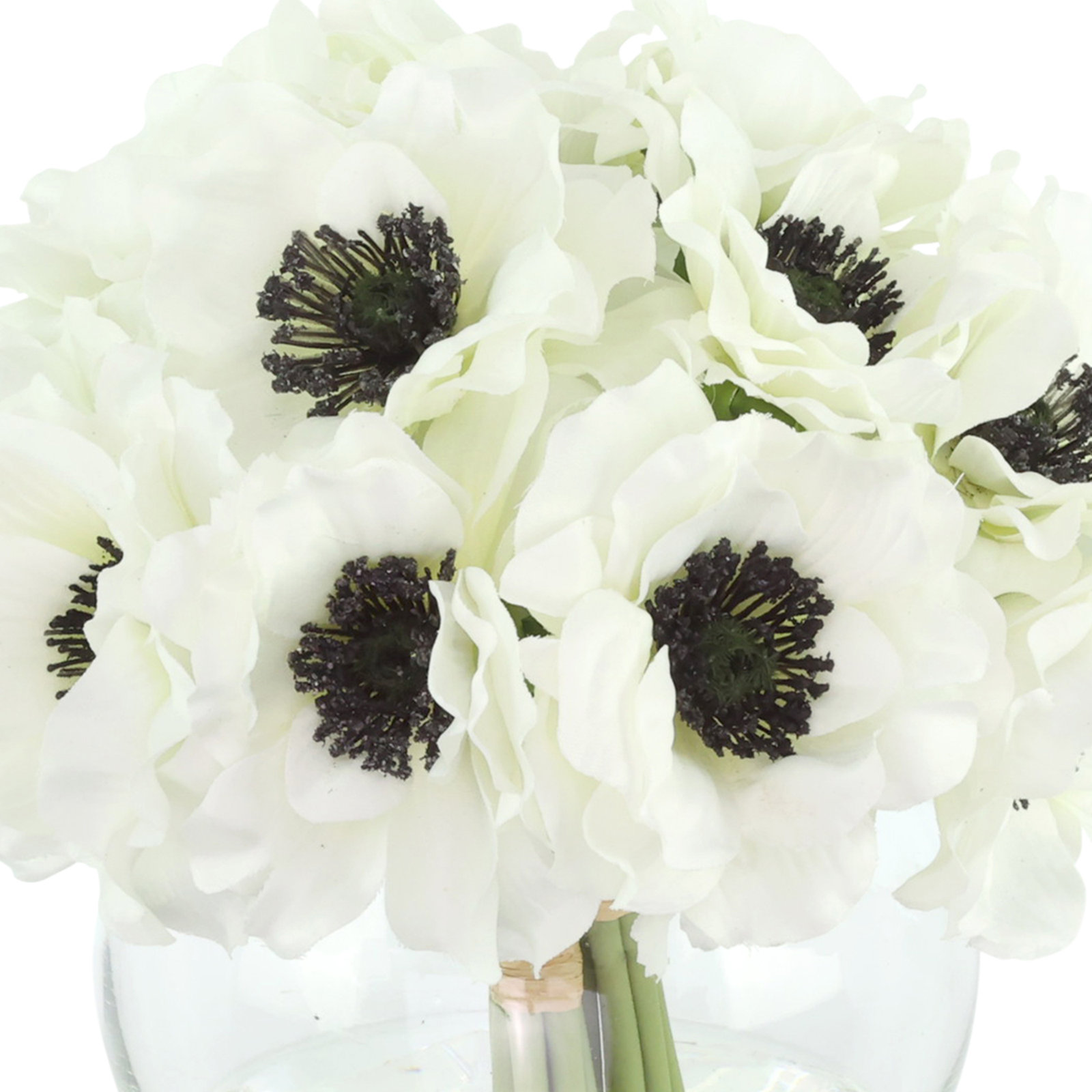 Anemone Arranged in a Glass Vase