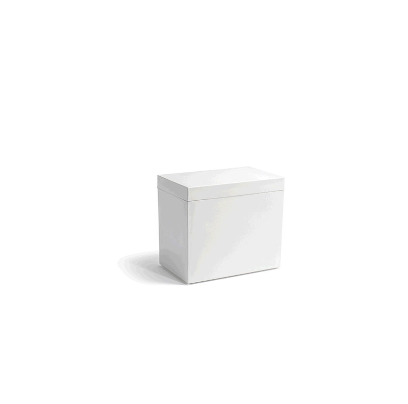 Seau de glace New York, Neige