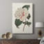 Mélange de fleurs roses - galerie Cavas-210649302