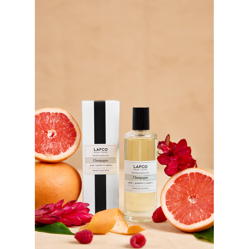 House and Home Odor Removing Room Mist, Champagne