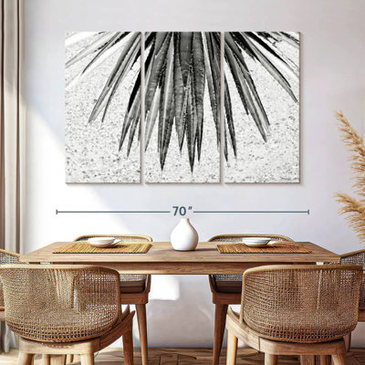 Harnek Black Arizona - Aloe Vera