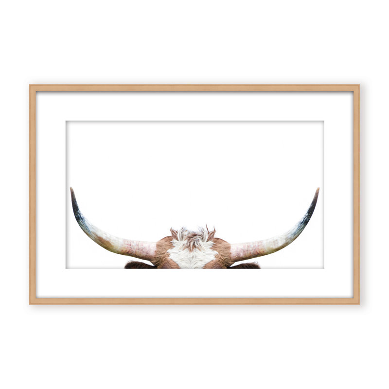 Nature Inspired Peeking Longhorn Cow by  - Picture Frame Photograph on Paper, 32" H x 48" W x 1.125" D, Framed Print, Brown