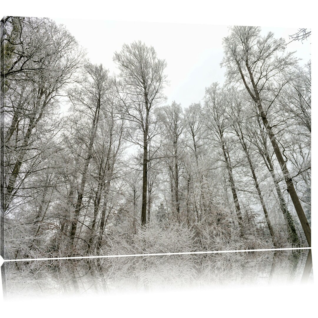 Leinwandbild Verschneiter Wald