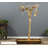 Freeland One-of-a-Kind 63'' Wood Bird Play Stand for Floor-1461484510