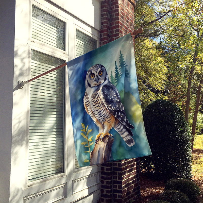 House Flag, Northern Hawk Owl