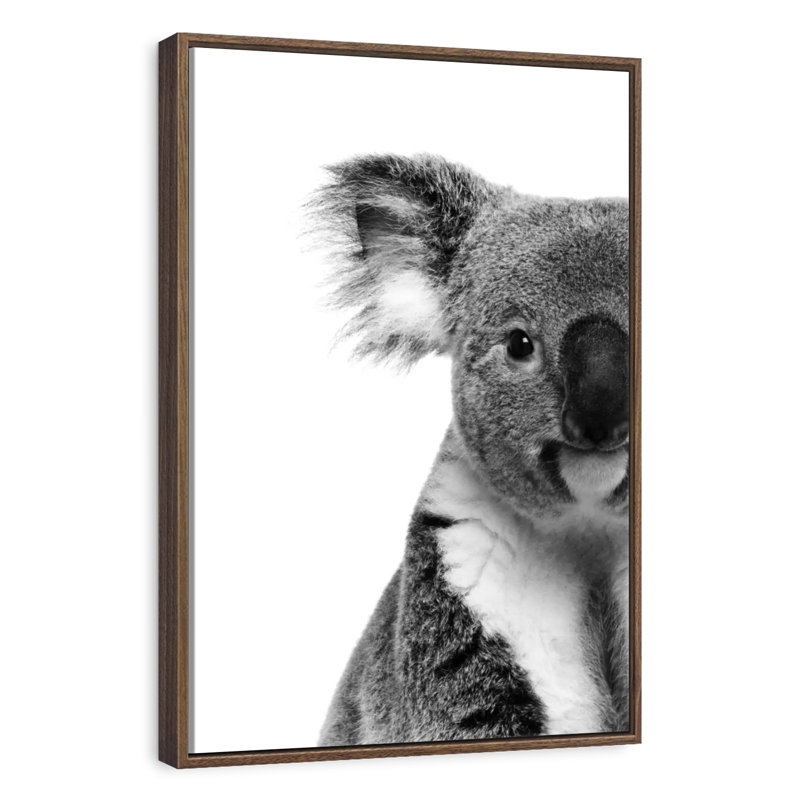 Lovable Koala Bear, 17" x 25", Floating Frame Walnut
