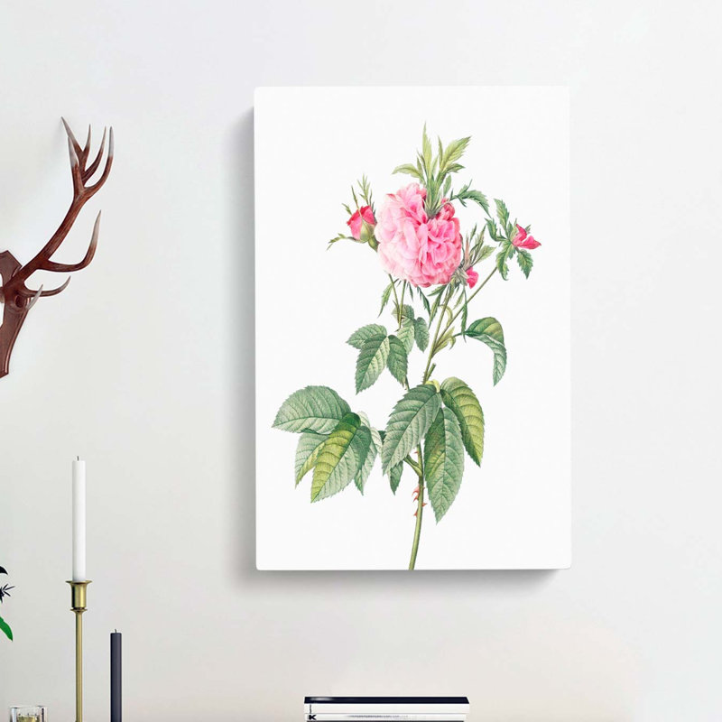 Pink Agatha Roses by Pierre-Joseph Redoute - Wrapped Canvas Painting, 60cm H x 40cm W x 3cm D