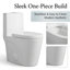 Toilette une pièce, toilette à double chasse 1,1 / 1,6 GPF écoénergétique, hauteur confort 17-1 / 8 po ADA, siège à fermeture rapide à fermeture douce, emboîtement standard 12 po