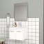Ensemble de meuble-lavabo 24 po avec lavabo et miroir