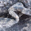 Tapis oriental bleu Jaggers-1755002230