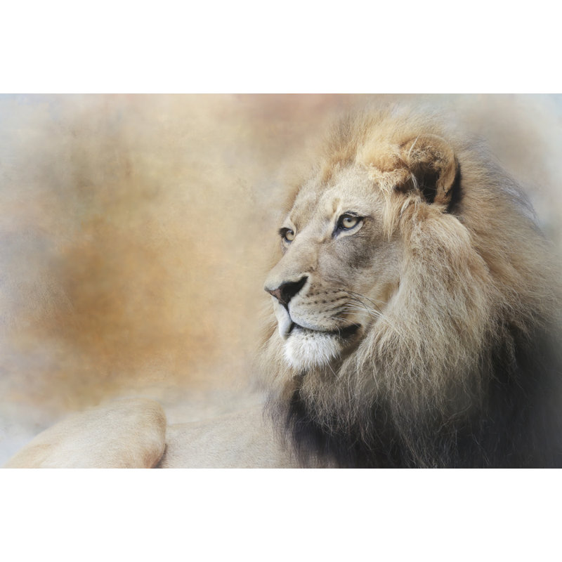 Wrapped Canvas Print, 50.8 cm H x 76.2 cm W
