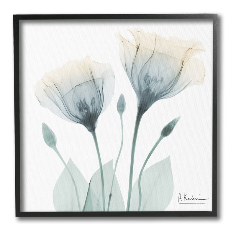 OpaqueTulipDuoGicleeArtbyAlbertKoetsier, Coastal White Framed Giclee, 24" H x 24" W