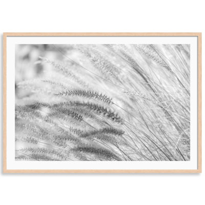 Summer Breeze Print by Carly Tabak
