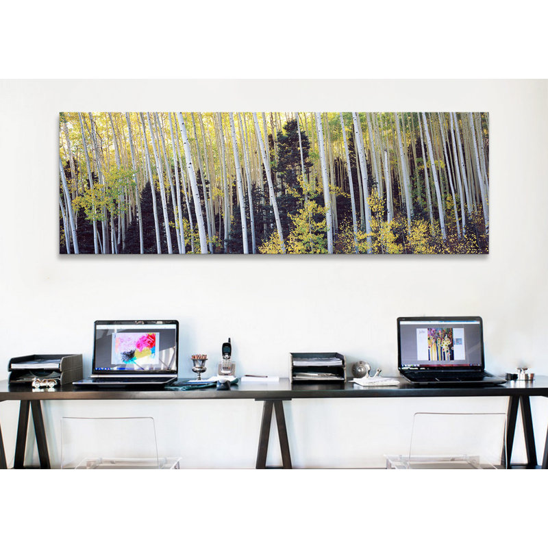 Aspen arbres dans une forêt, Aspen, Pitkin County, Colorado, USA # 2 par Panoramic Images - Reproduction de giclée sur toile tendue