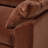 Mirella Sofa- 86"