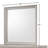 Gray Square Mirror Transitional Design