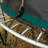 Recreational Trampolines with Enclosure for Kids and Adults with Patented Fibreglass Net Poles Pumpkin- Green