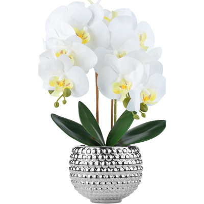Large White Artificial Orchids With Gold Pot