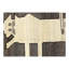 Animal Pictorial lion Hand Knotted Rug 3'5"X 5'1"