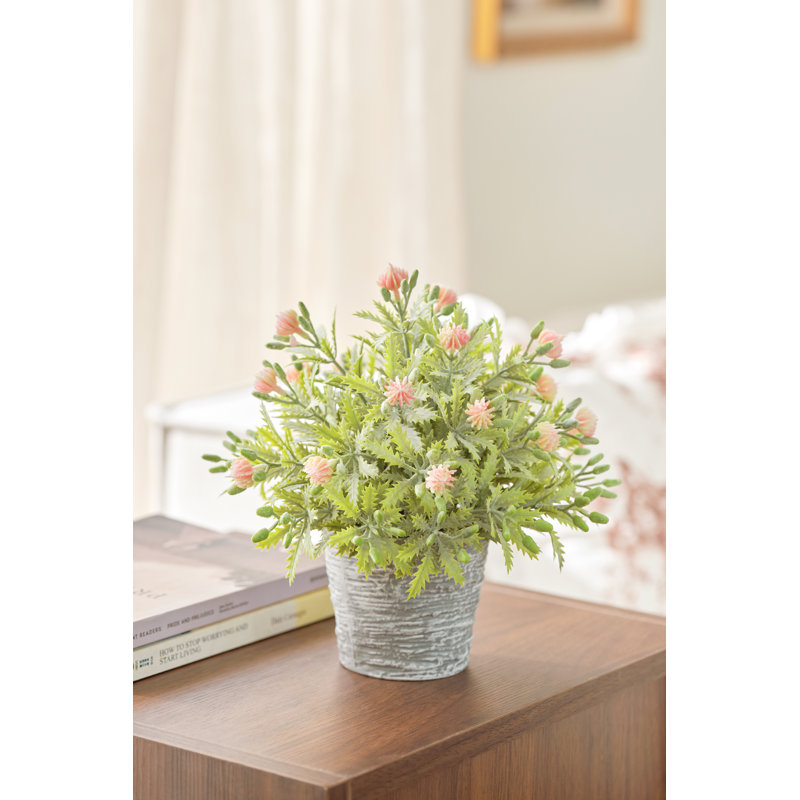 Delicate Fruit In Pot, Pink