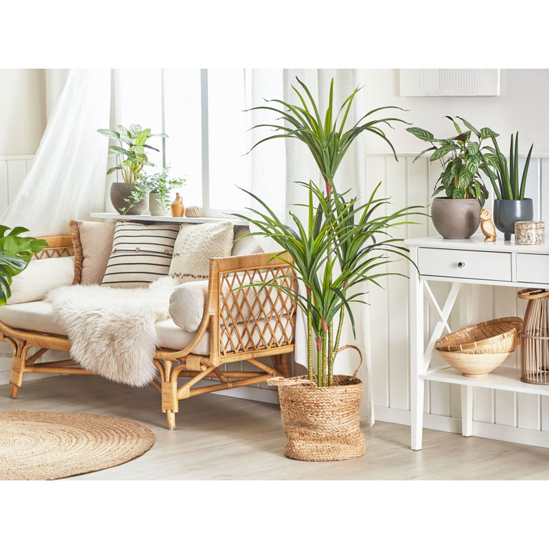 147 cm H Faux Dracaena Plant in Plastic Planter