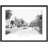 Cranleigh, The Shop 1906 by Francis Frith - Single Picture Frame Print-51293465