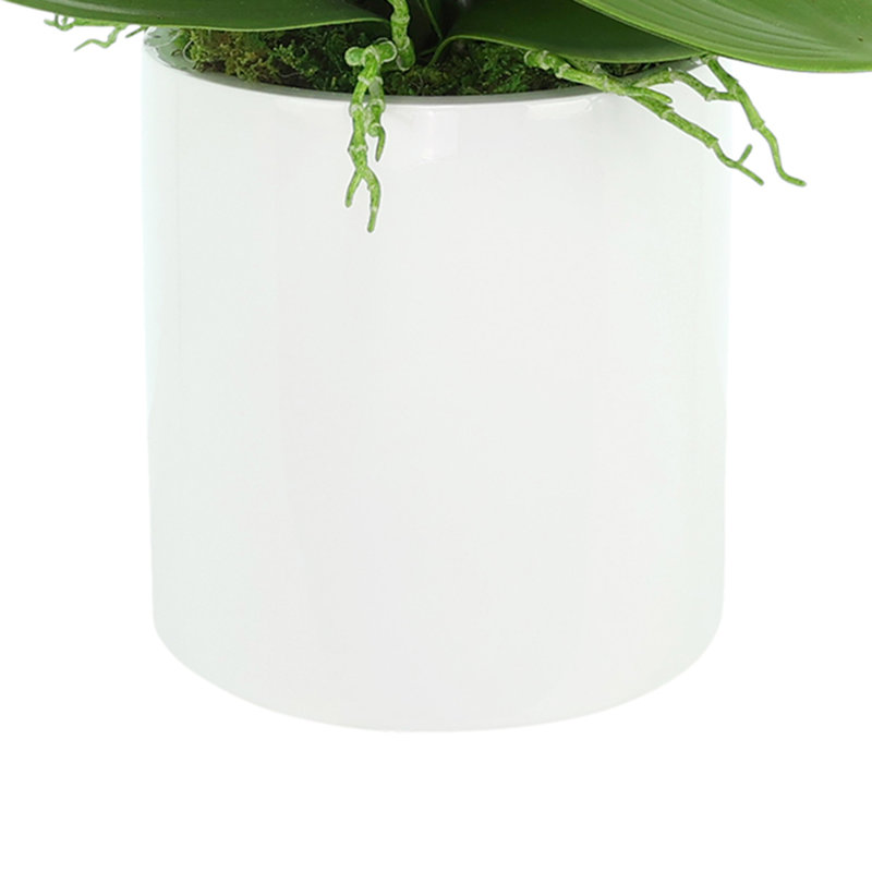 Orchids Arranged in Fiberstone Planter, Purple