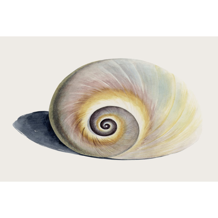 Spiraling I by Grace Popp - Wrapped Canvas Photograph