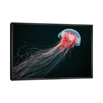 Longtail 1 Piece Wall Art on Canvas
