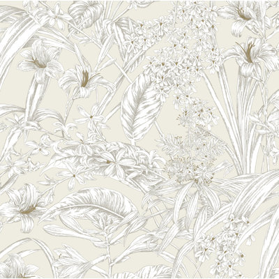 Conservatory Toile Floral,Solids Wallpaper