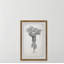 Palm Livistona - Single Picture Frame Print-1984775295