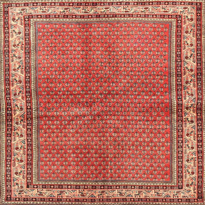 Oriental Indoor Rug