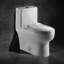 Toilette allongée une pièce 1,1 GPF