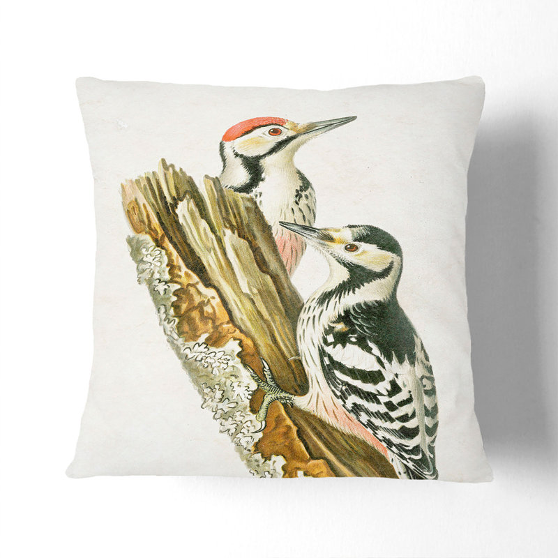 Square Cushion, 55cm H x 55cm W x 20cm D